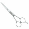 Joewell Pro Classic Scissors