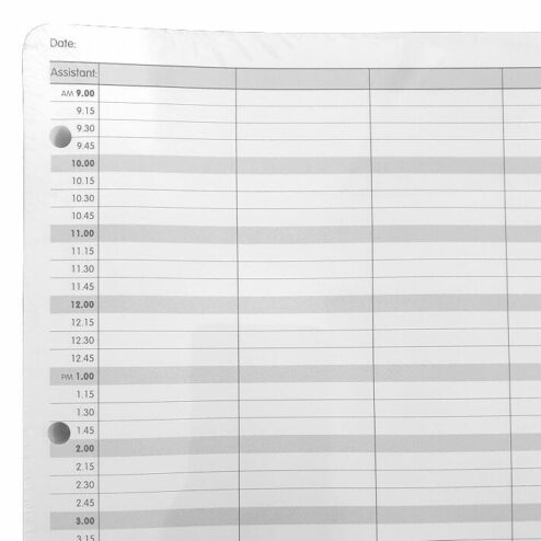 Appointment Pages Loose 12 Column