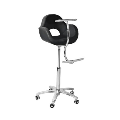 Direct Salon Supplies Pasha Child Seat
