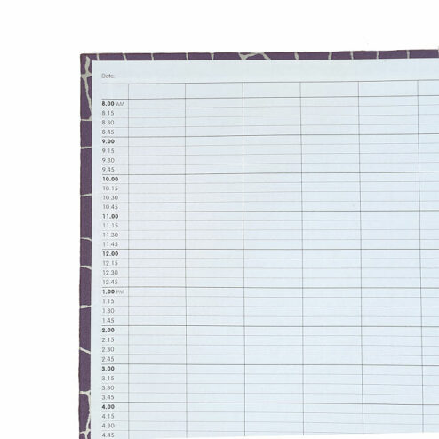 Direct Salon Supplies 6 Column Coloured Appointment Book