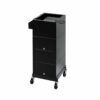 Direct Salon Supplies Discrete Locking Trolley