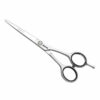 Jaguar Silver Ice Scissor