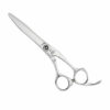 Joewell Craft Scissors
