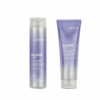 Joico Sparkle Color Endure Violet Pack