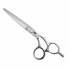 Kasho Ceramic Series 6" Offset Scissor