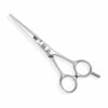 Kasho Blue Series Straight Scissor