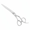 Passion Arc Scissor