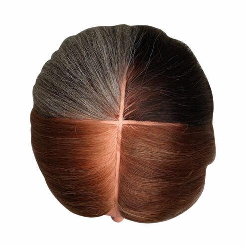 Special 4 Colouring Section Training Head