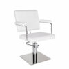 Ayala Helios Hydraulic Styling Chair In Cat P Upholstery