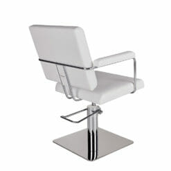 Ayala Helios Hydraulic Styling Chair In Cat P Upholstery
