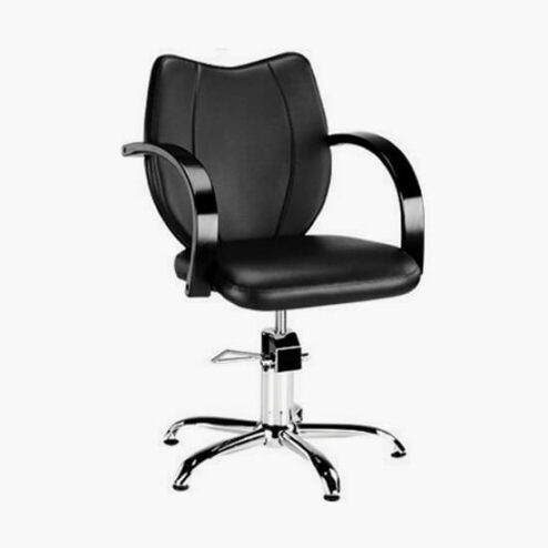 Ayala Toledo Hydraulic Styling Chair In Cat W Upholstery
