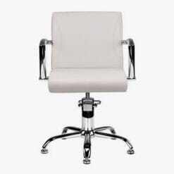 Ayala Carmen Hydraulic Styling Chair In Cat W Upholstery