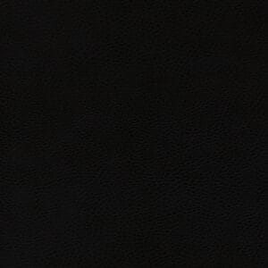 Panther Black