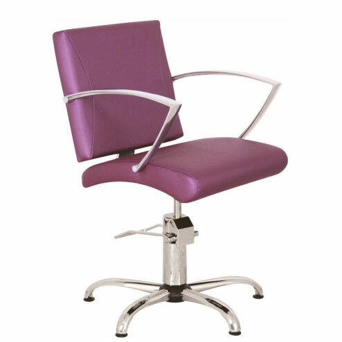 Ayala Carmen Hydraulic Styling Chair In Cat W Upholstery
