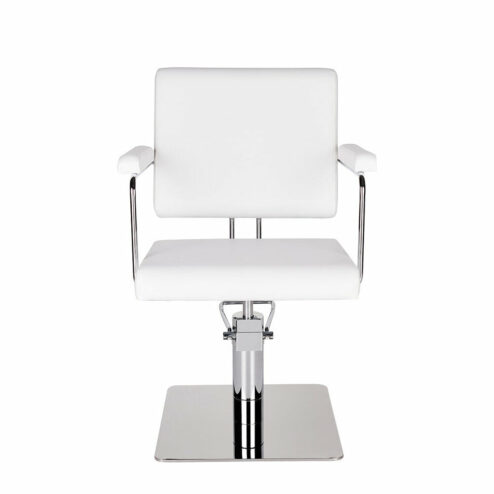 Ayala Helios Hydraulic Styling Chair In Cat W Upholstery