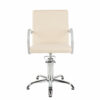 Ayala Pik Hydraulic Styling Chair In Cat W Upholstery