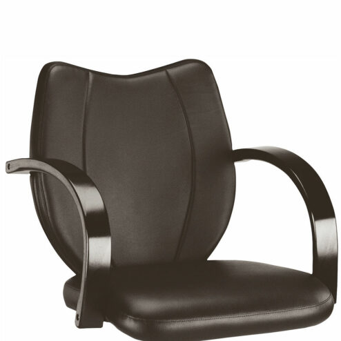 Ayala Toledo Hydraulic Styling Chair In Cat W Upholstery
