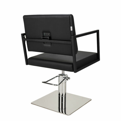 Ayala Loft Hydraulic Backwash Chair In Cat P Upholstery