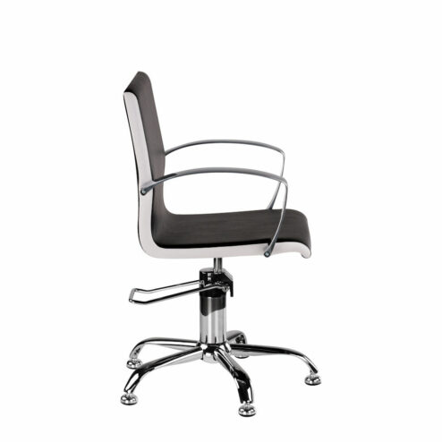 Ayala Partner Hydraulic Styling Chair In Cat P Upholstery