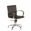 Ayala Partner Hydraulic Styling Chair In Cat P Upholstery