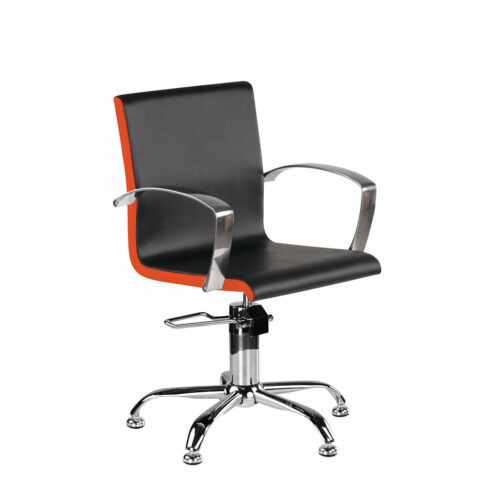 Ayala Partner Hydraulic Styling Chair In Cat P Upholstery