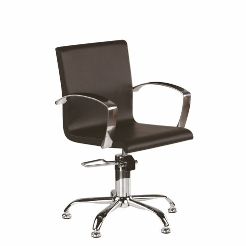 Ayala Partner Hydraulic Styling Chair In Cat P Upholstery