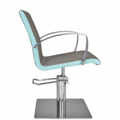 Ayala Partner Hydraulic Styling Chair In Cat W Upholstery