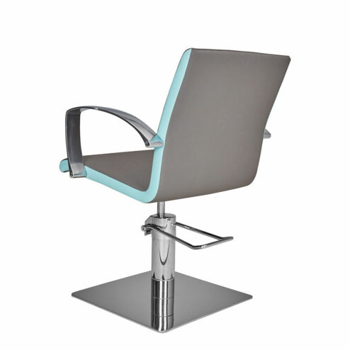 Ayala Partner Hydraulic Styling Chair In Cat W Upholstery