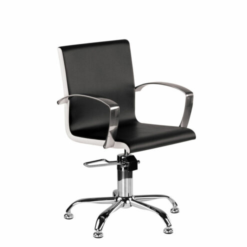 Ayala Partner Hydraulic Styling Chair In Cat W Upholstery