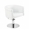 Ayala Reflection Hydraulic Styling Chair In Cat P Upholstery