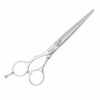 PASSION Alto NY Lefty Hairdressing Scissors
